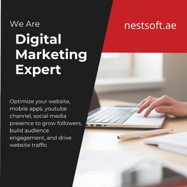 Digital Marketing Services in Punjab